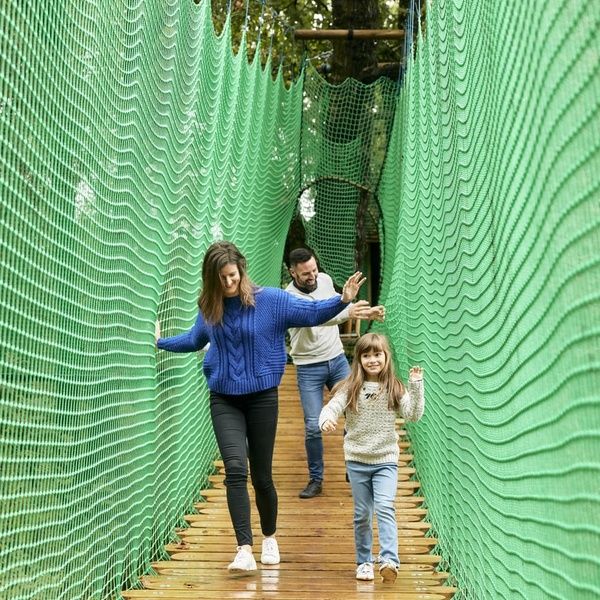 Forest Nets Family