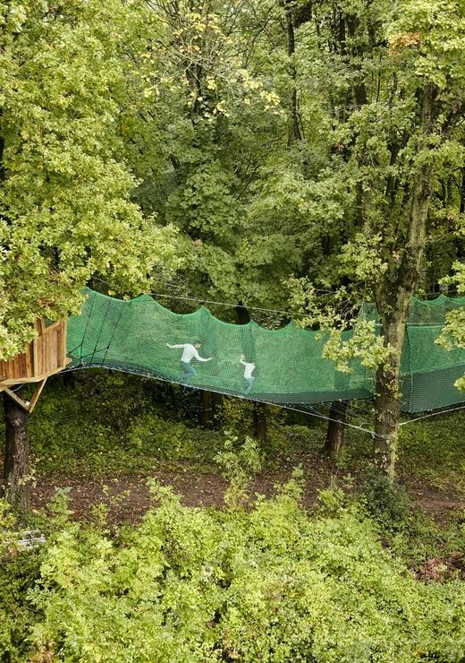 Forest Nets Far View