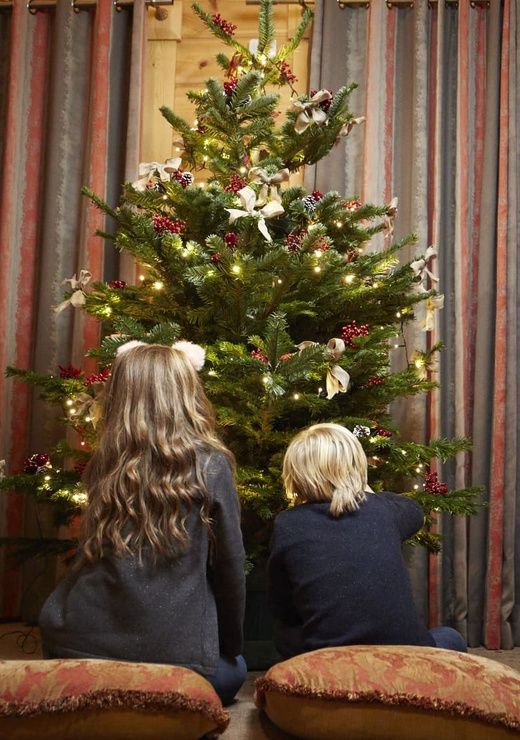 Hunter Lodges Family Christmas Preparations