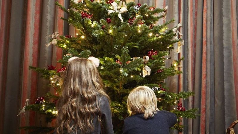 Hunter Lodges Family Christmas Preparations