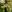 Celtic Manor Forest Nets