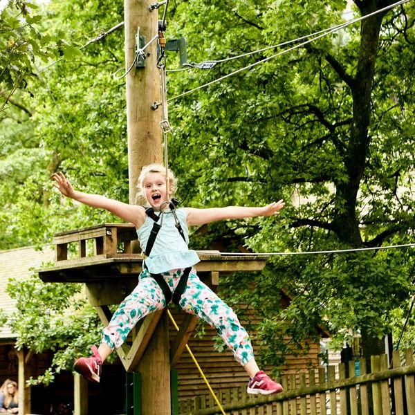 Low Ropes Outdoor Activity