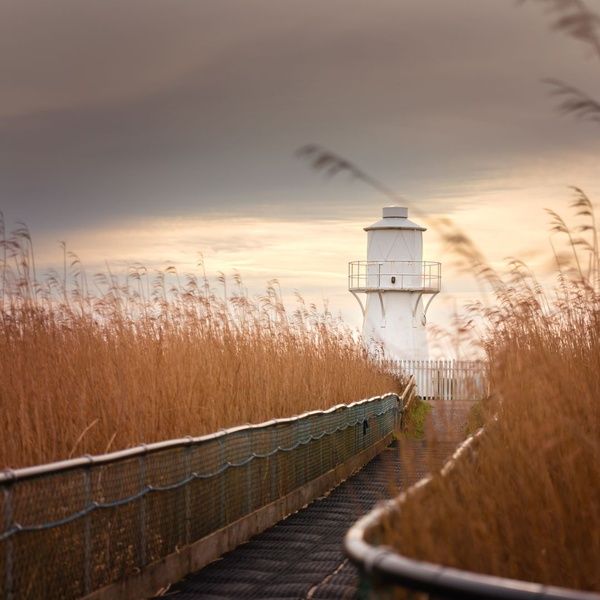 Newport Wetlands National Nature Reserve