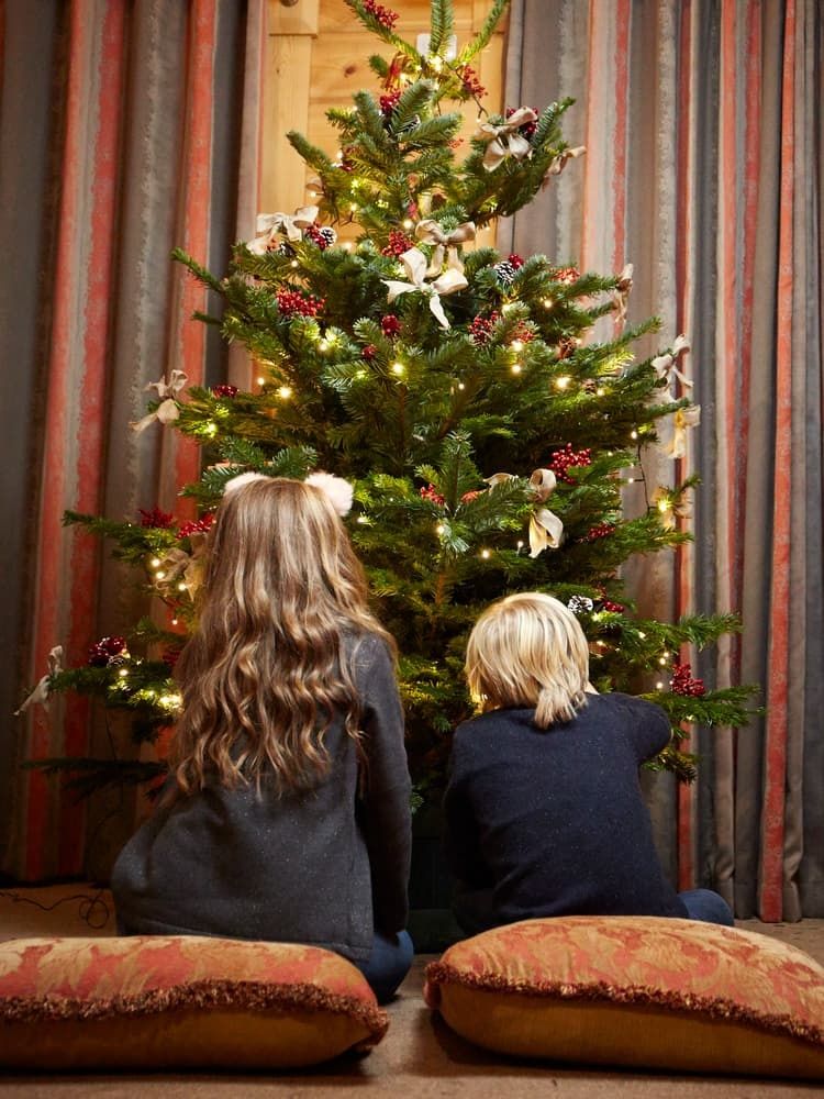 Hunter Lodges Family Christmas Preparations