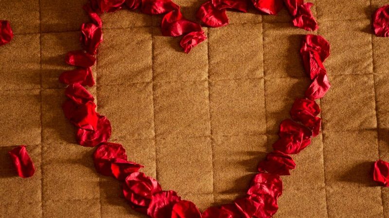 Rose Petal Display